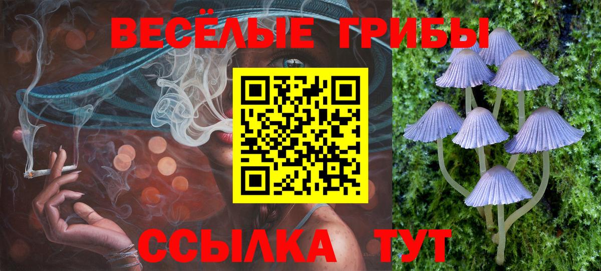 Псилоцибиновые грибы Cubensis  Галлюциногенные грибы MAGIC MUSHROOMS  наркотики  Вход с VPN  Элиста 